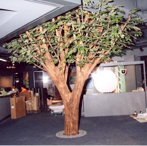人工樹木ベンジャミン 太い幹の施工