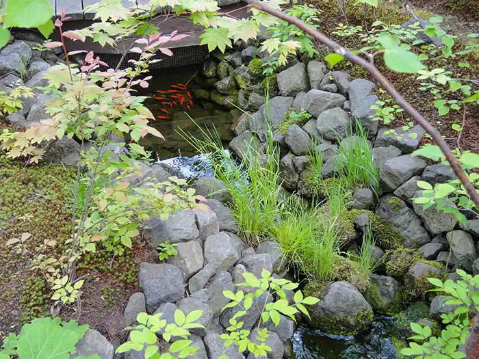 流れの最後に水の溜まり場を作り、森の清涼感を感じれる庭