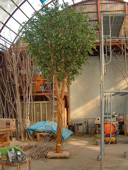 人工樹木ベンジャミン、工場にて完成、確認の様子