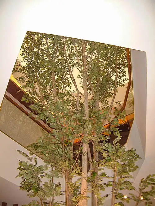 人工樹木ベンジャミン、吹き抜けの上まで広がる様子を1階から見上げた様子