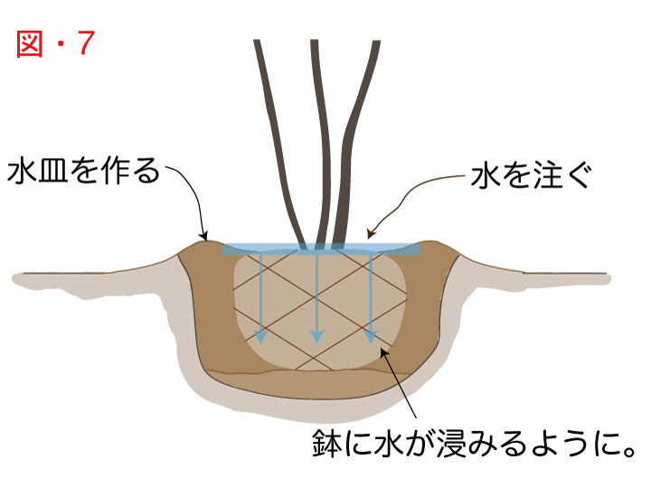 木の植え方の図解